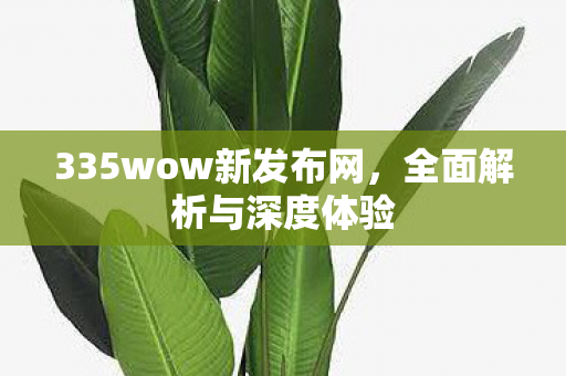 335wow新发布网，全面解析与深度体验