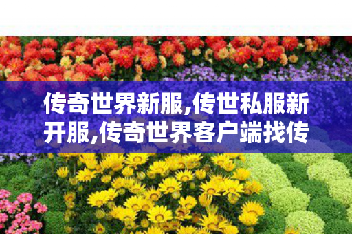 传奇世界新服,传世私服新开服,传奇世界客户端	找传世sf,传世私服新开服