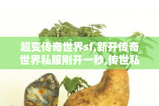 超变传奇世界sf,新开传奇世界私服刚开一秒,传世私服,新开传奇世界私服刚开一秒
