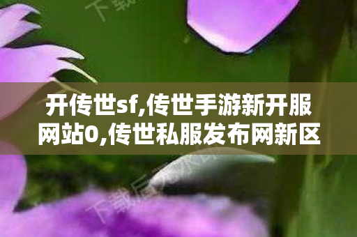 开传世sf,传世手游新开服网站0,传世私服发布网新区,传世手游新开服网站0