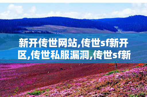 新开传世网站,传世sf新开区,传世私服漏洞,传世sf新开区