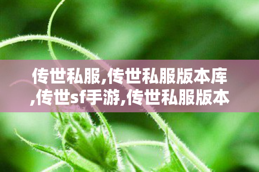 传世私服,传世私服版本库,传世sf手游,传世私服版本库