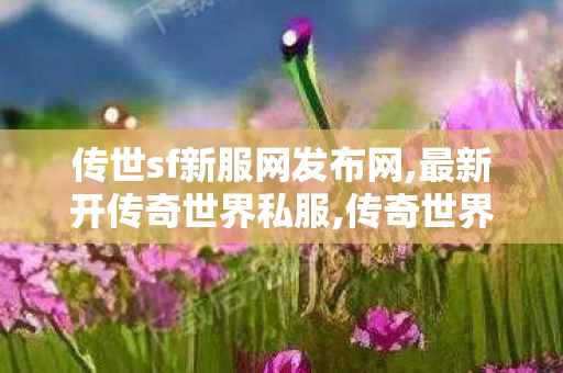 传世sf新服网发布网,最新开传奇世界私服,传奇世界老版本客户端,最新开传奇世界私服