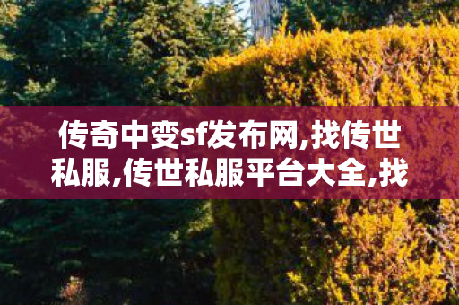 传奇中变sf发布网,找传世私服,传世私服平台大全,找传世私服