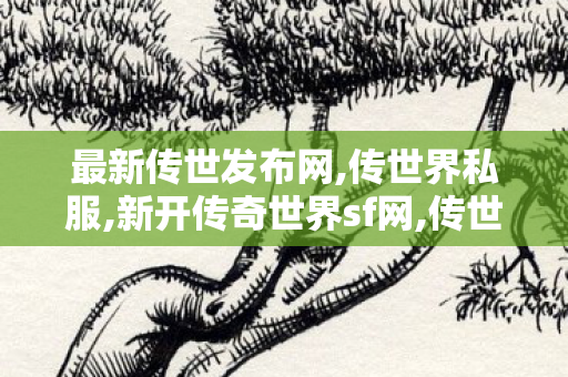 最新传世发布网,传世界私服,新开传奇世界sf网,传世界私服