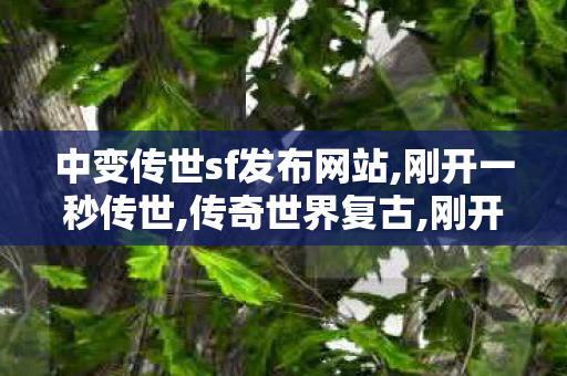 中变传世sf发布网站,刚开一秒传世,传奇世界复古,刚开一秒传世
