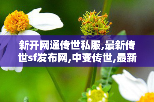 新开网通传世私服,最新传世sf发布网,中变传世,最新传世sf发布网