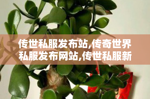 传世私服发布站,传奇世界私服发布网站,传世私服新服网发布网,传奇世界私服发布网站