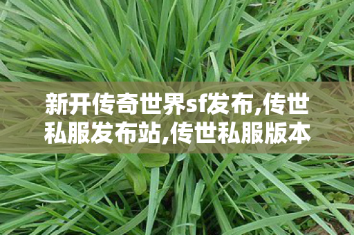 新开传奇世界sf发布,传世私服发布站,传世私服版本购买,传世私服发布站
