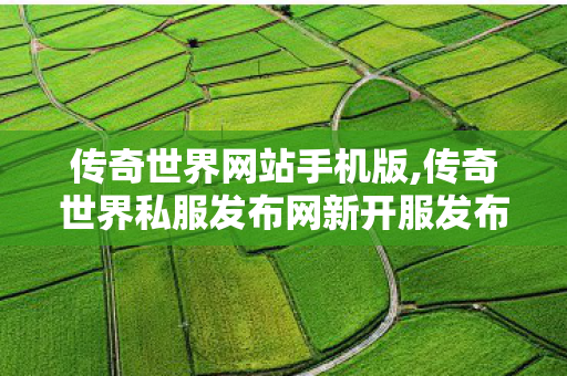 传奇世界网站手机版,传奇世界私服发布网新开服发布吧,传世私服 找传世网,传奇世界私服发布网新开服发布吧