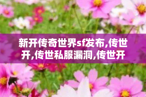 新开传奇世界sf发布,传世开,传世私服漏洞,传世开