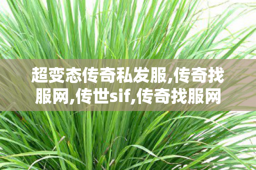 超变态传奇私发服,传奇找服网,传世sif,传奇找服网