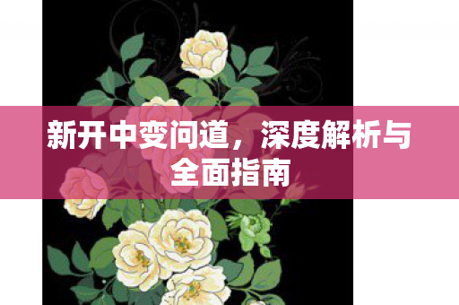 新开中变问道，深度解析与全面指南