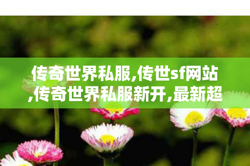传奇世界私服,传世sf网站,传奇世界私服新开,最新超变态传世私服,传奇世界私服新开
