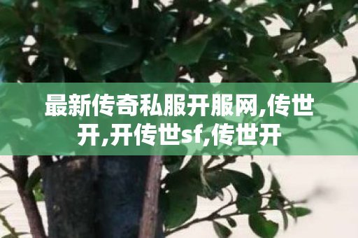 最新传奇私服开服网,传世开,开传世sf,传世开