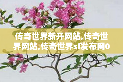 传奇世界新开网站,传奇世界网站,传奇世界sf发布网0,传奇世界网站