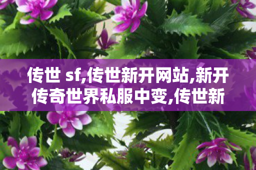 传世 sf,传世新开网站,新开传奇世界私服中变,传世新开网站