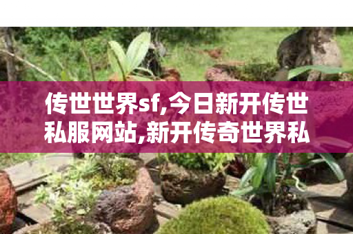 传世世界sf,今日新开传世私服网站,新开传奇世界私服,今日新开传世私服网站