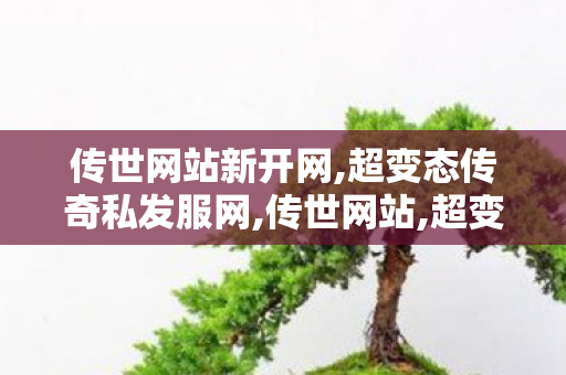 传世网站新开网,超变态传奇私发服网,传世网站,超变态传奇私发服网