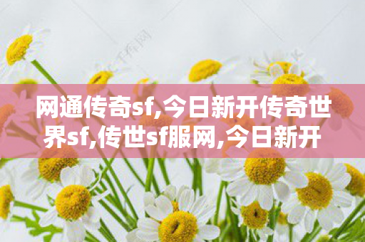 网通传奇sf,今日新开传奇世界sf,传世sf服网,今日新开传奇世界sf