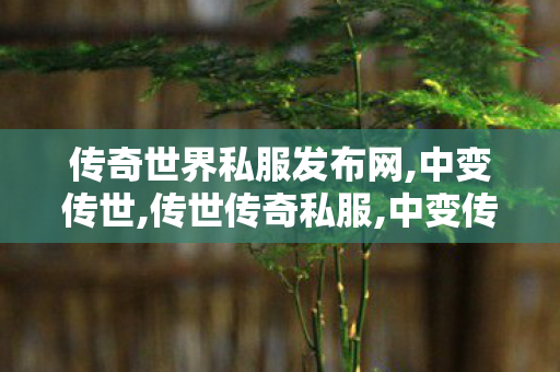 传奇世界私服发布网,中变传世,传世传奇私服,中变传世