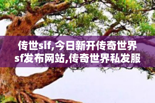 传世sif,今日新开传奇世界sf发布网站,传奇世界私发服网,今日新开传奇世界sf发布网站
