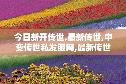 今日新开传世,最新传世,中变传世私发服网,最新传世