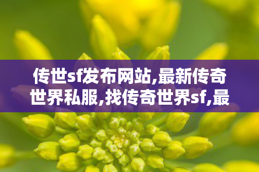 传世sf发布网站,最新传奇世界私服,找传奇世界sf,最新传奇世界私服