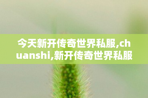 今天新开传奇世界私服,chuanshi,新开传奇世界私服中变,chuanshi