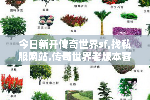 今日新开传奇世界sf,找私服网站,传奇世界老版本客户端下载,找私服网站