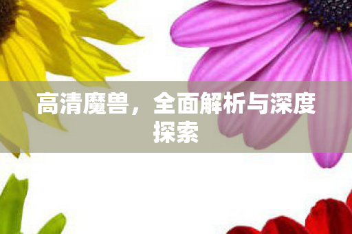 高清魔兽，全面解析与深度探索