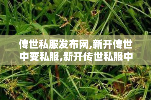传世私服发布网,新开传世中变私服,新开传世私服中变,新开传世中变私服