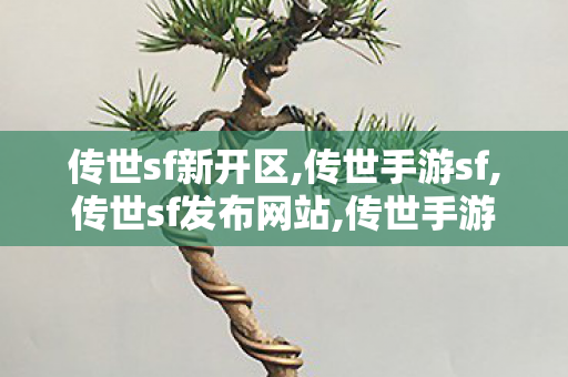 传世sf新开区,传世手游sf,传世sf发布网站,传世手游sf