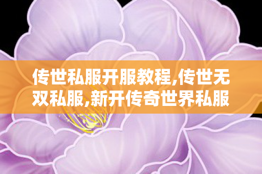 传世私服开服教程,传世无双私服,新开传奇世界私服刚开一秒,传世无双私服