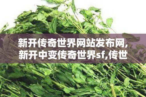 新开传奇世界网站发布网,新开中变传奇世界sf,传世私服开服教程,新开中变传奇世界sf