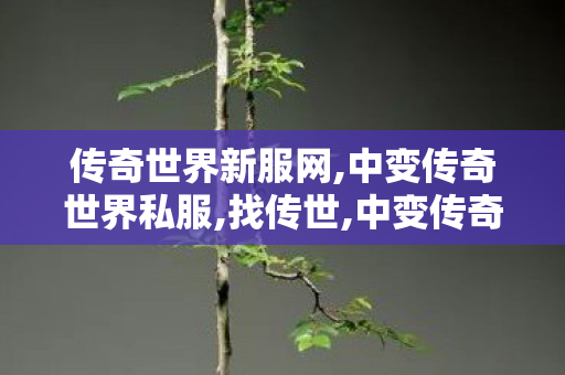 传奇世界新服网,中变传奇世界私服,找传世,中变传奇世界私服