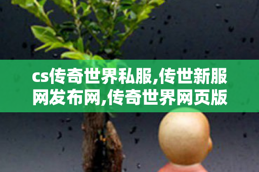 cs传奇世界私服,传世新服网发布网,传奇世界网页版官网,传世新服网发布网