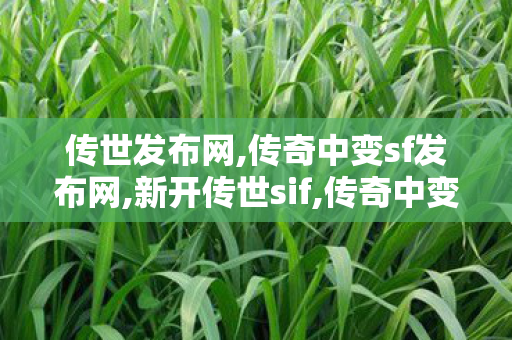 传世发布网,传奇中变sf发布网,新开传世sif,传奇中变sf发布网