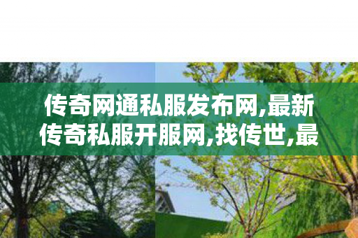 传奇网通私服发布网,最新传奇私服开服网,找传世,最新传奇私服开服网