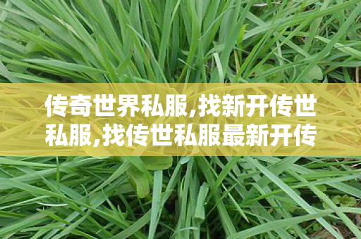 传奇世界私服,找新开传世私服,找传世私服最新开传世sf网,传奇世界私服贴吧,找传世私服最新开传世sf网