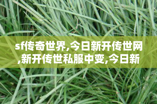 sf传奇世界,今日新开传世网,新开传世私服中变,今日新开传世网