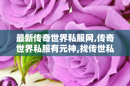 最新传奇世界私服网,传奇世界私服有元神,找传世私服 最新开,传奇世界私服有元神