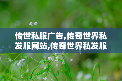传世私服广告,传奇世界私发服网站,传奇世界私发服网,传奇世界私发服网站