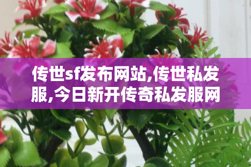 传世sf发布网站,传世私发服,今日新开传奇私发服网,传世私发服