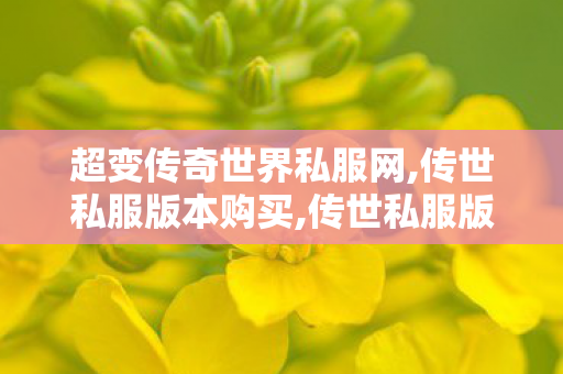 超变传奇世界私服网,传世私服版本购买,传世私服版本购买,传世私服版本购买
