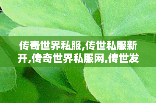 传奇世界私服,传世私服新开,传奇世界私服网,传世发布网,传奇世界私服网