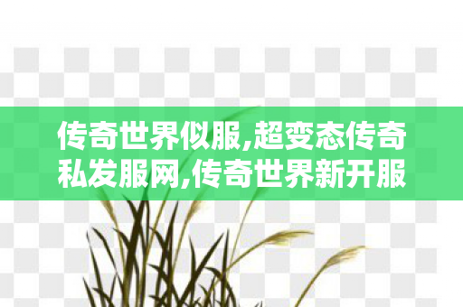 传奇世界似服,超变态传奇私发服网,传奇世界新开服的发布网,超变态传奇私发服网