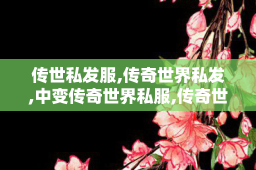 传世私发服,传奇世界私发,中变传奇世界私服,传奇世界私发