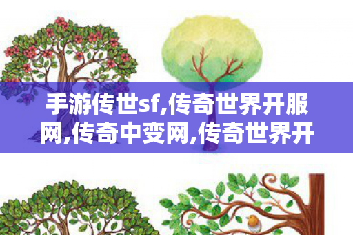 手游传世sf,传奇世界开服网,传奇中变网,传奇世界开服网