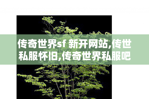 传奇世界sf 新开网站,传世私服怀旧,传奇世界私服吧,传世私服怀旧